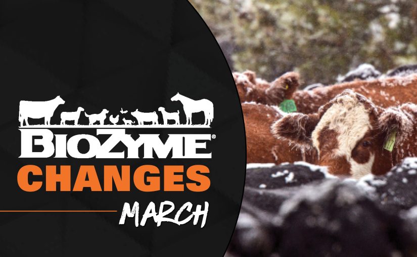 CHANGES COMING IN MARCH