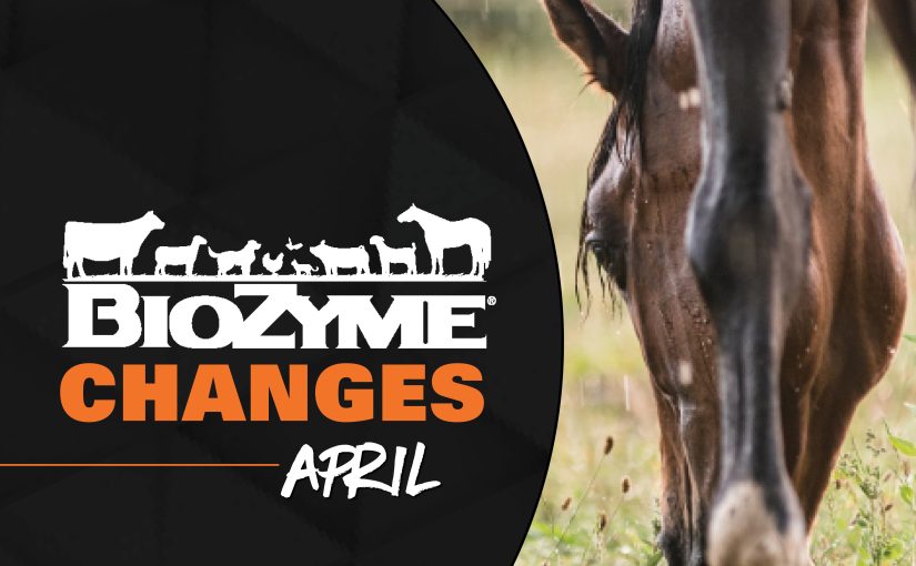 CHANGES COMING IN APRIL
