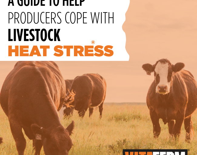 A Guide to Help Producers Cope with Livestock Heat Stress 
