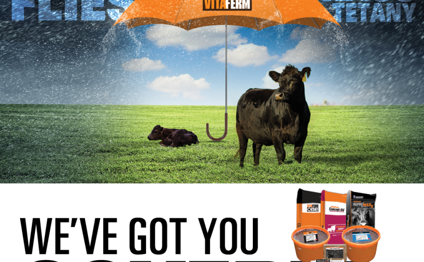Fly Control: We’ve Got you Covered
