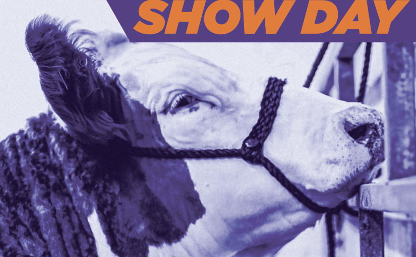The Importance of Water for Show Livestock 