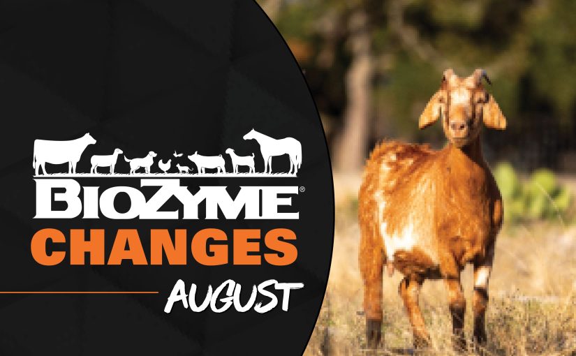 CHANGES COMING IN AUGUST