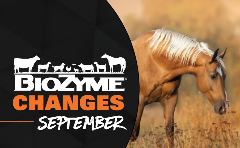 CHANGES COMING IN SEPTEMBER