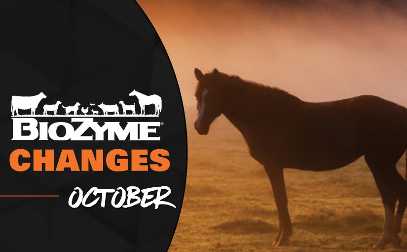 CHANGES COMING IN OCTOBER
