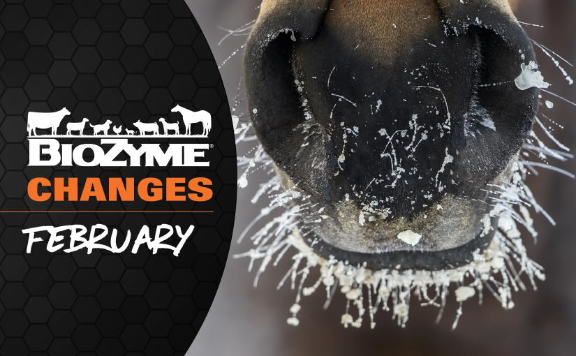 CHANGES COMING IN FEBRUARY