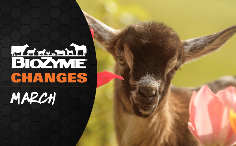 CHANGES COMING IN MARCH