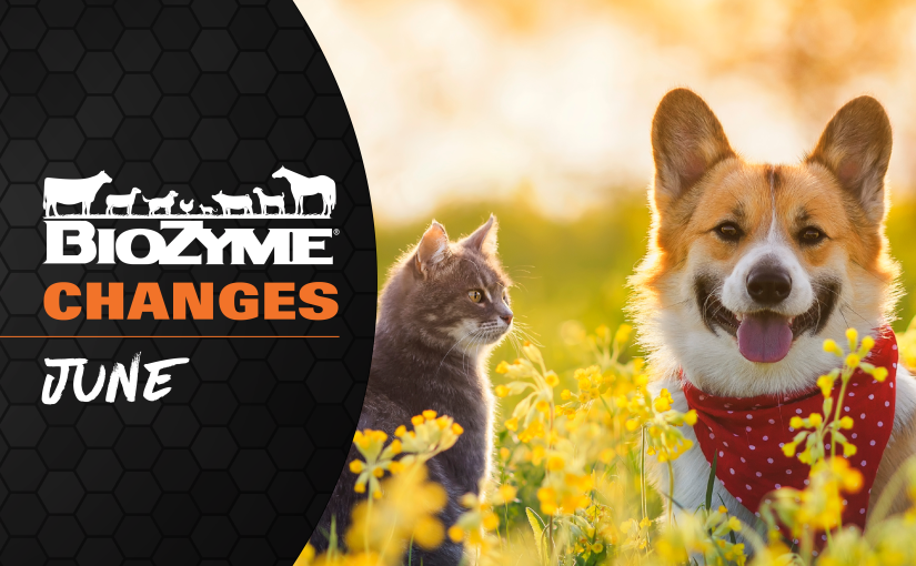 Changes in June