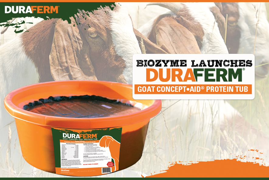 Goat Archives DuraFerm