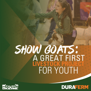 goat shows
