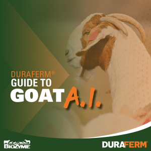 goat AI