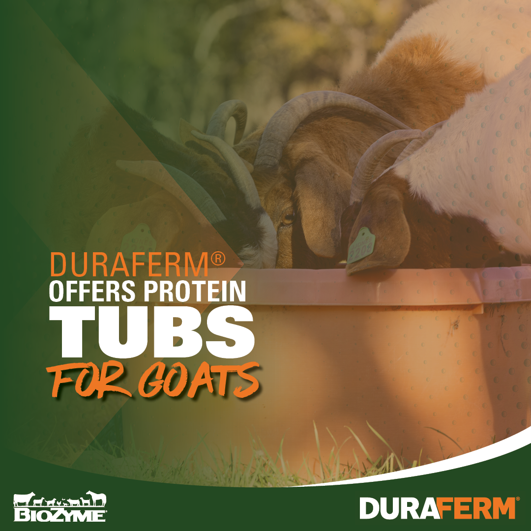 DuraFerm® Offers A Protein Tub for Goats - DuraFerm