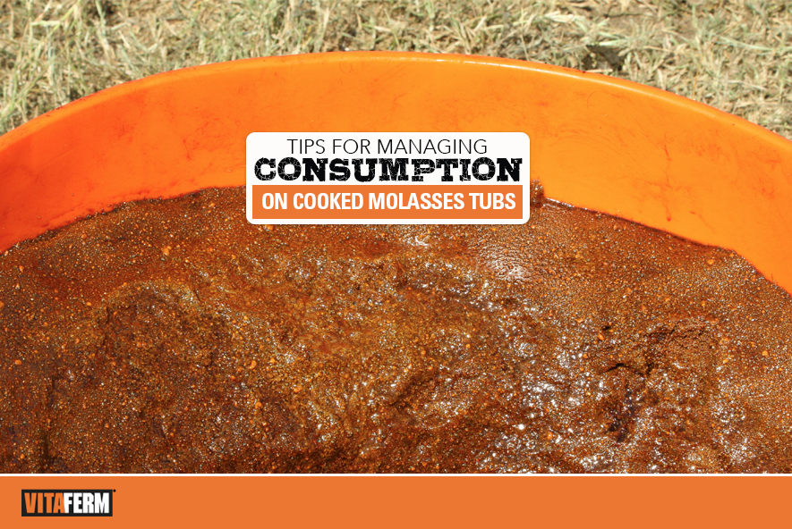 Tips For Managing Consumption on Cooked Molasses Tubs Gain Smart