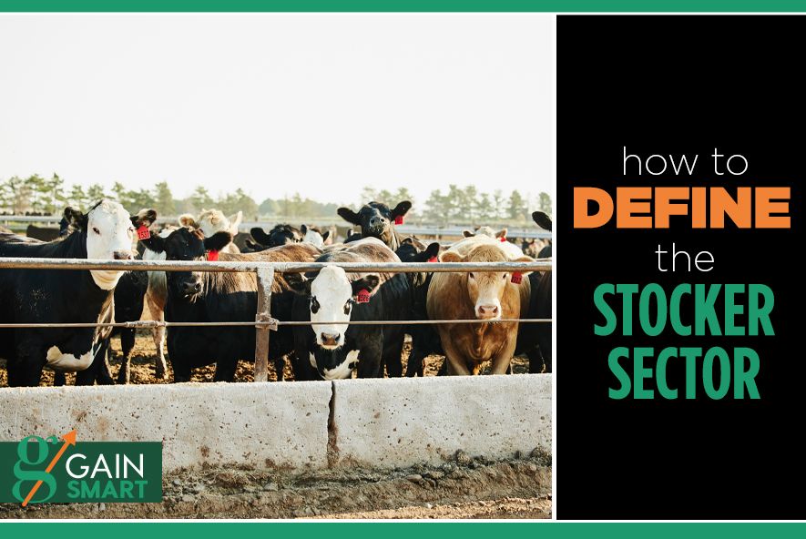 How to Define the Stocker Sector Gain Smart