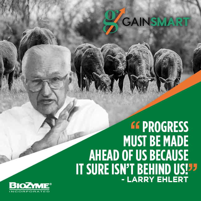 progress-is-constantly-evolving-in-cow-calf-business-gain-smart