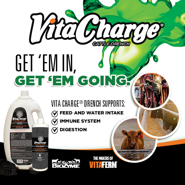 Jump Start Your Calves’ Health with Vita Charge® Cattle Drench Gain Smart