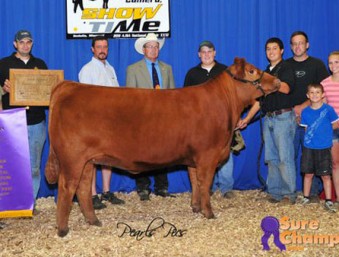 Paige & Sam Wallace, Wallace Cattle Co. | Missouri