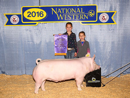 2016 Show Pig Champions