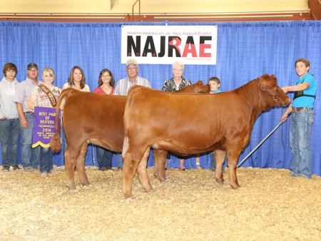 Cooper Rogers Champion Pair of Heifer North American Junior Red Angus Show[1]