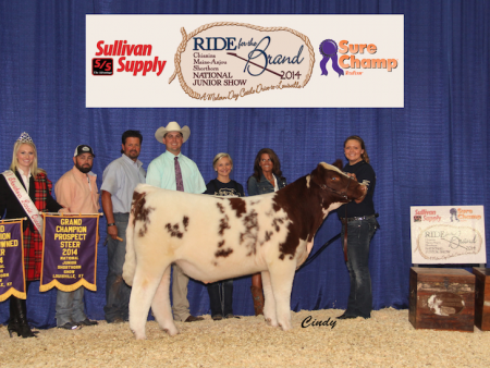 Grand Champion Prospect and Bred & Owned Steer_Harley Sargent