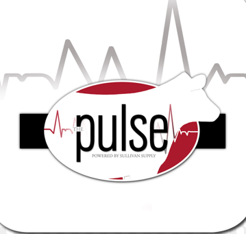 the pulse