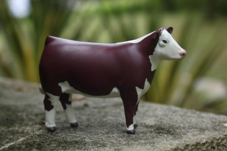 Toy Hereford cow