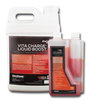 Vita Charge Liquid Boost Group
