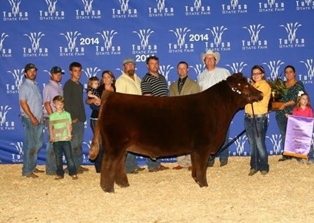 Tulsa State Fair, Junior Breeding Heifers – MaineTainer