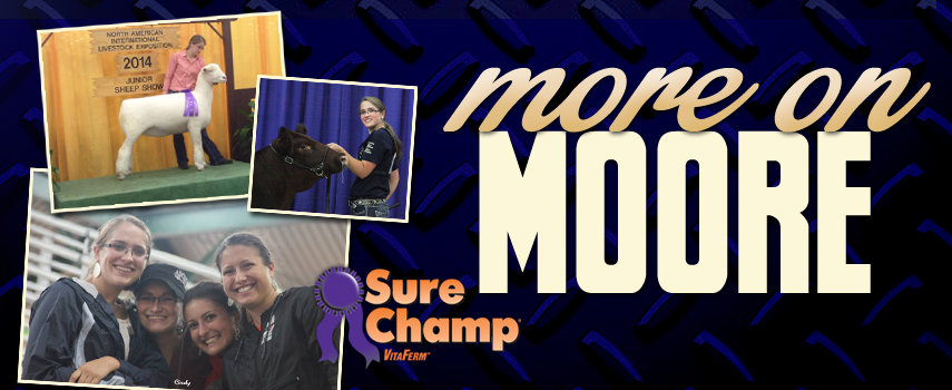 surechamp-blog-moreonmoore