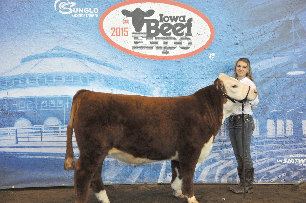 Reserve Champion Hereford Steer iowa Beef Expo