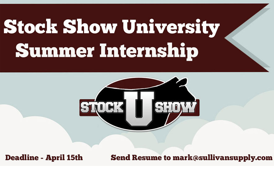 ssu-internship-featured