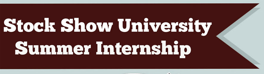 ssu-internship-header
