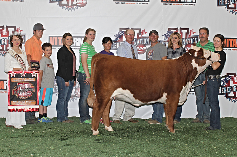 _JNHE 2015-Reserve Grand Bred and Owned Female Kagney Collins IN