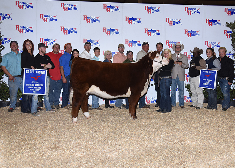 Kalli Ellis Reserve Supreme Champion Junior Breeding Heifer – Star of Texas Livestock Show