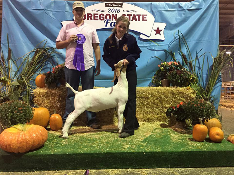Megan Albers OR Grand Champion Market Goat Oregon State Fair