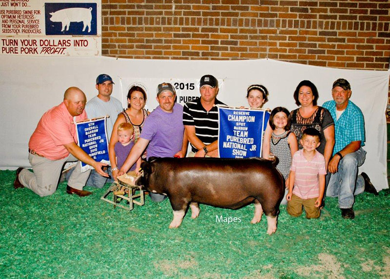 5th Overall Barrow & Reserve Spot 2015 Team Purebred Jr Show Chloe Oneal
