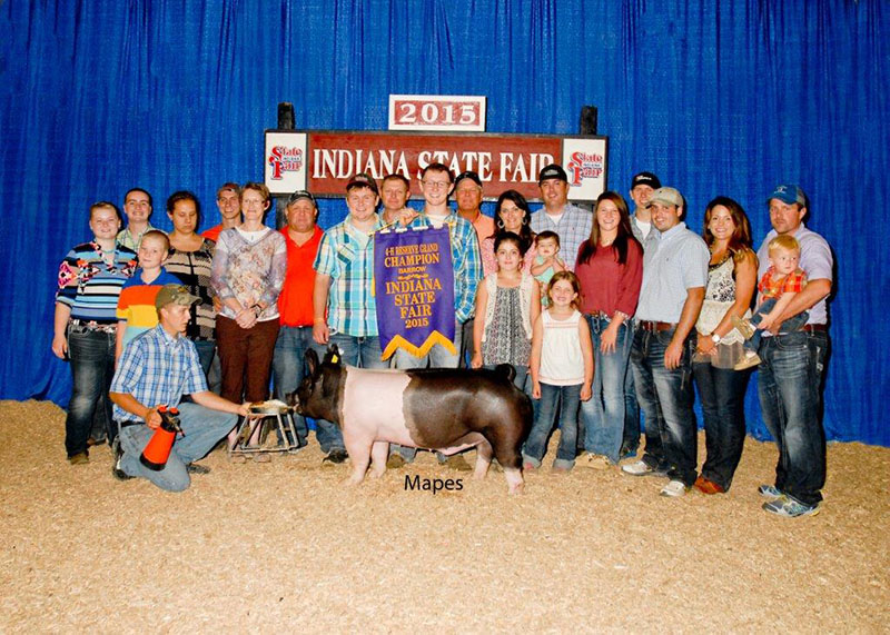 Troy Michel IN Reserve Champion Barrow Indiana State Fair