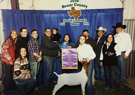 MaggieLouton-Bexar-County-2016-Grand-Goat