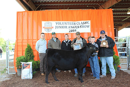 Grand and Overall Res-Volunteer Classic Jr Angus Show – Dustin Thomas