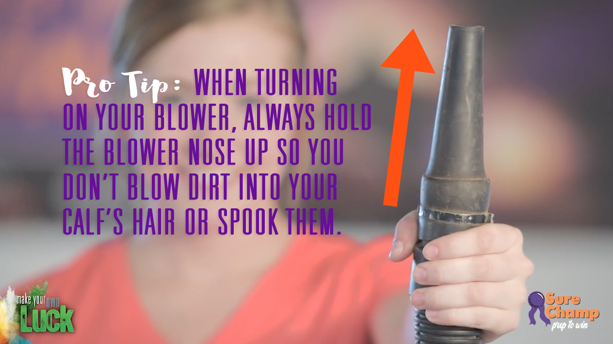 Stock Show Blower Tip
