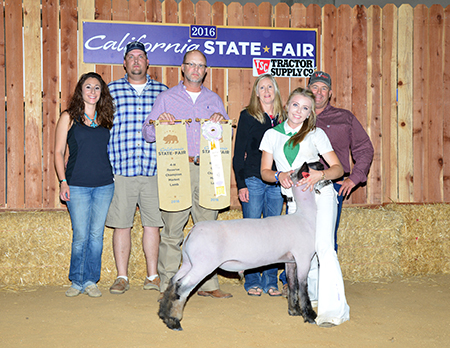 Sydney Edwards Reserve Supreme Champion Market Lamb 2016 California State Fair