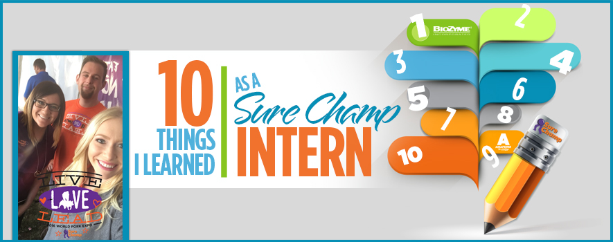 surechamp-intern-header-aug2016