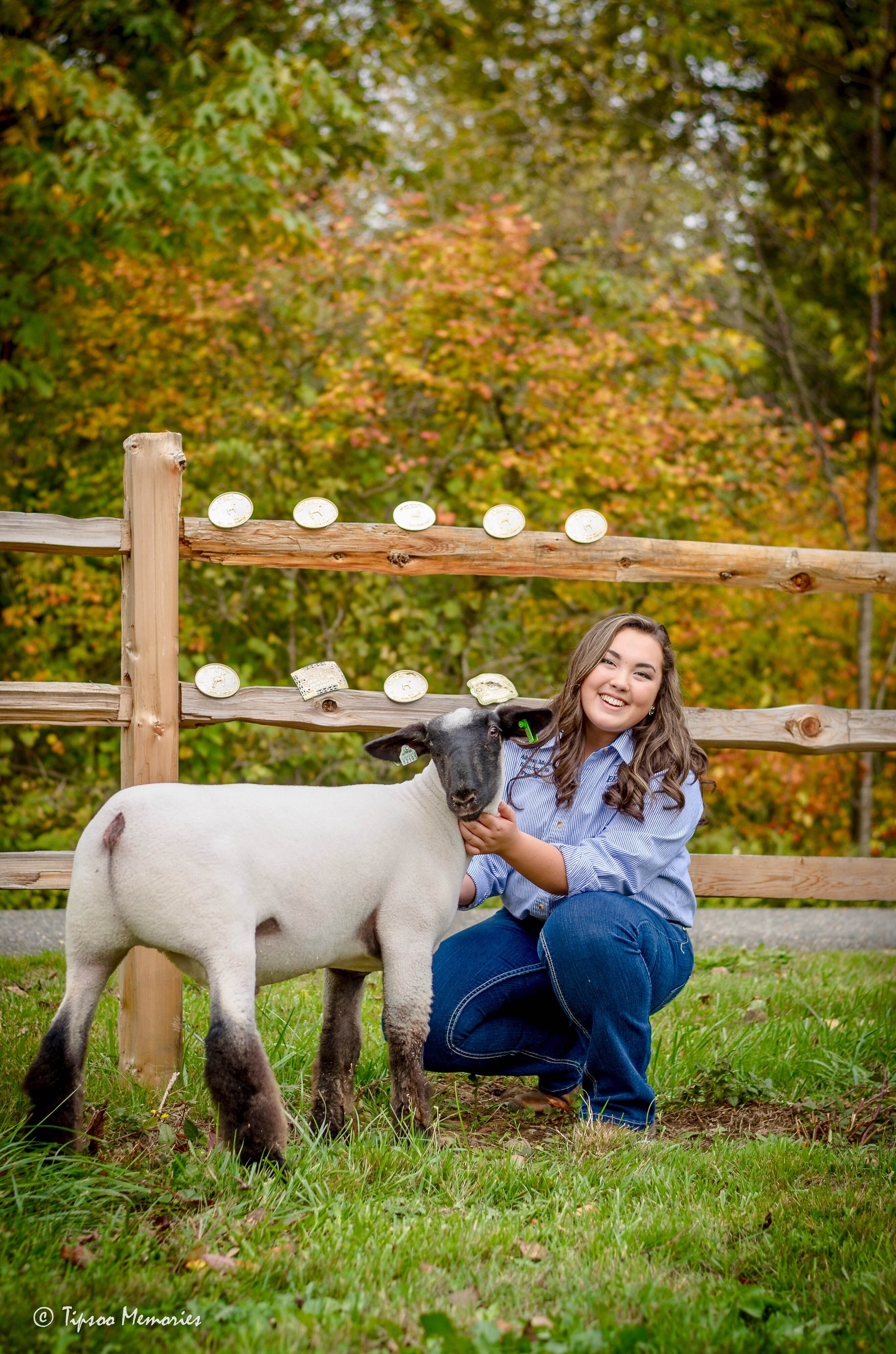 Sure Champ Senior Photo Ideas: Show Lamb