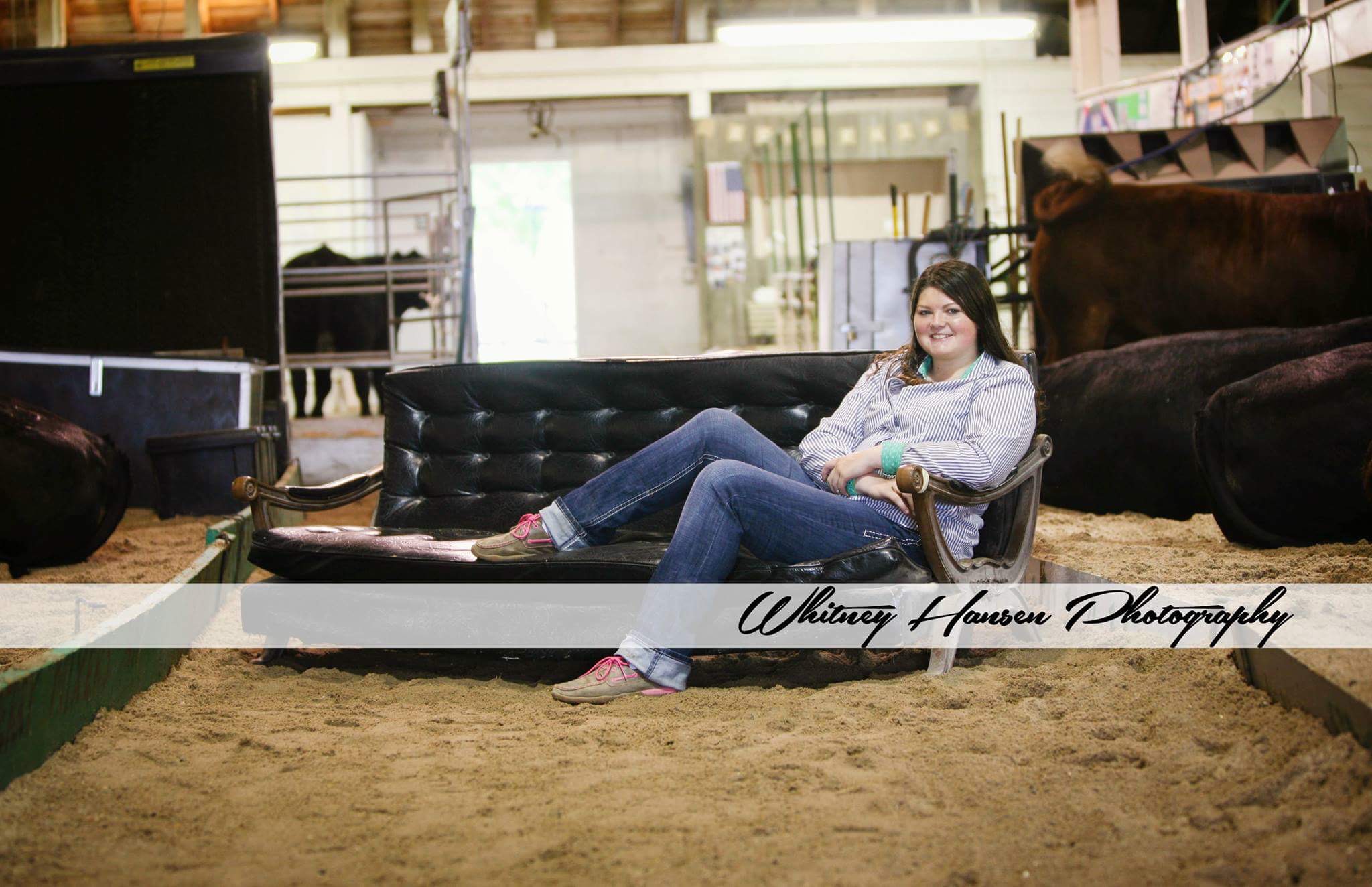 Sure Champ Senior Photos: Showbarn 