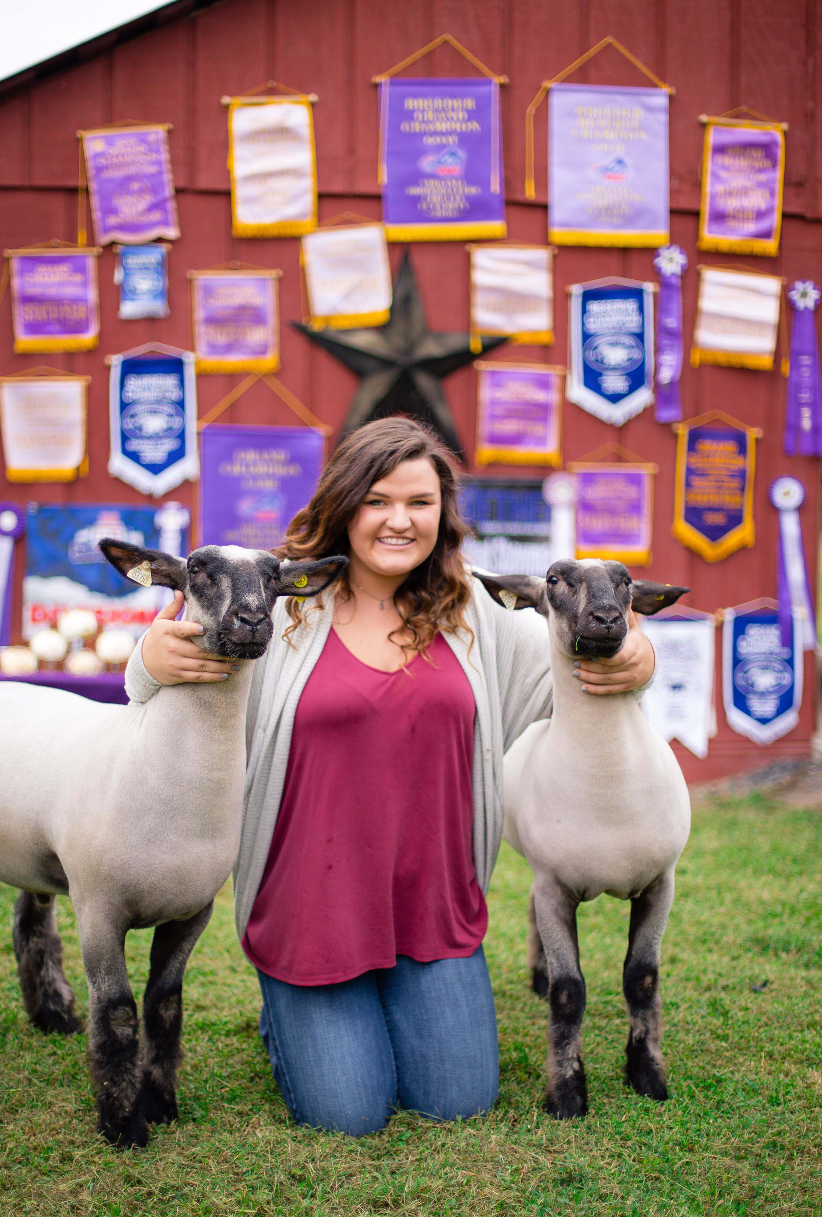 Sure Champ Senior Photos: Show Lambs