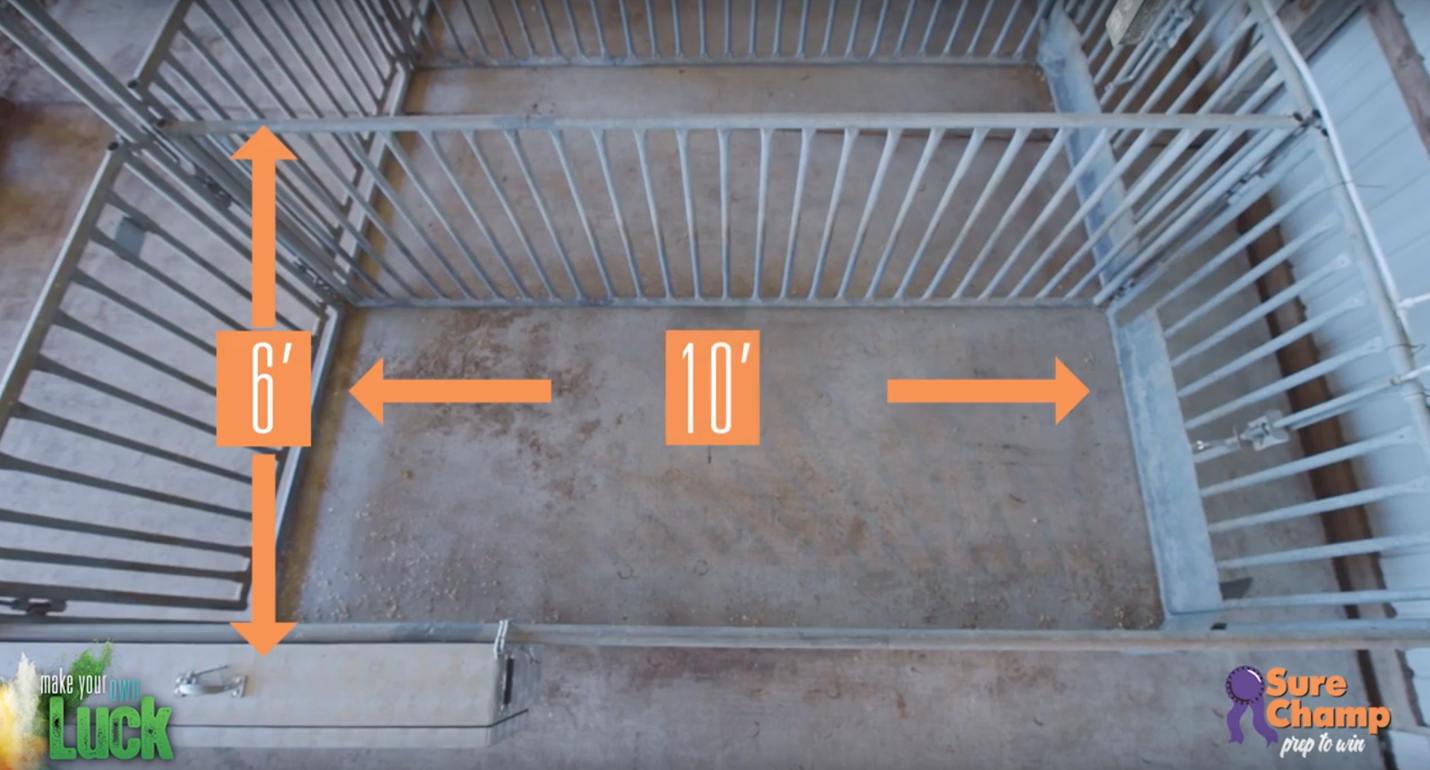 pig pen dimensions