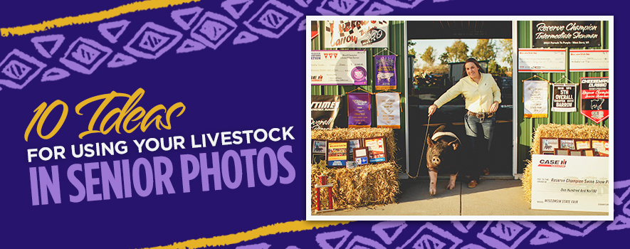 10 Ideas for Using Livestock in Senior Photos 