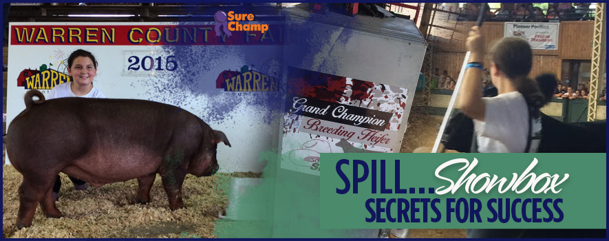 surechamp-showboxtlach-header-oct2016