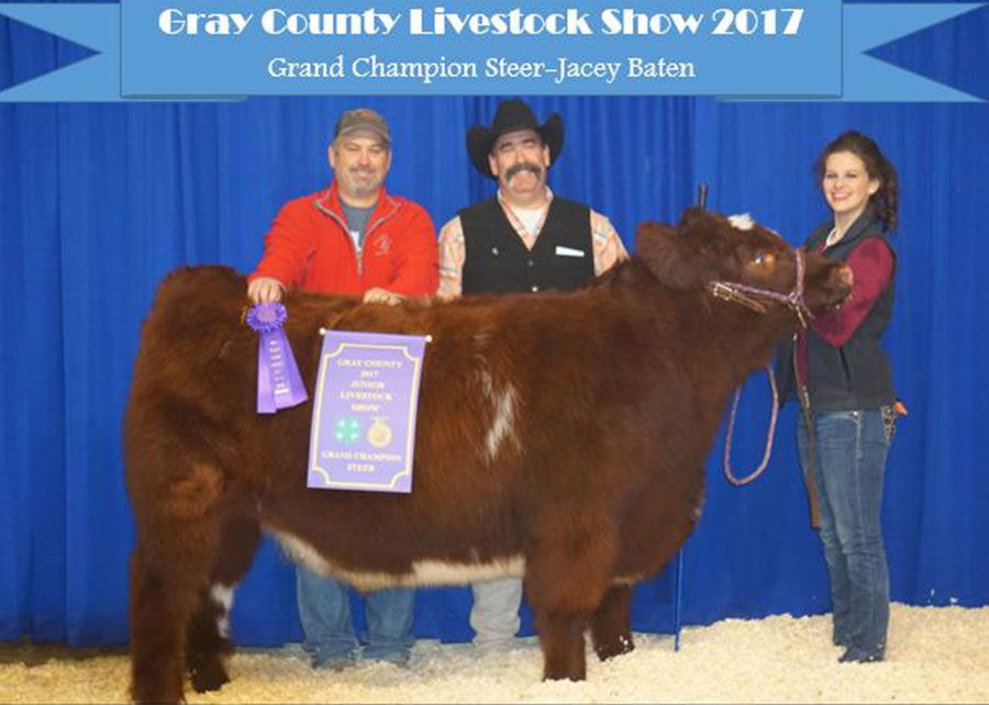 17-grand-champion-steer-gray-county-jr-livestock-show-jacey-baten