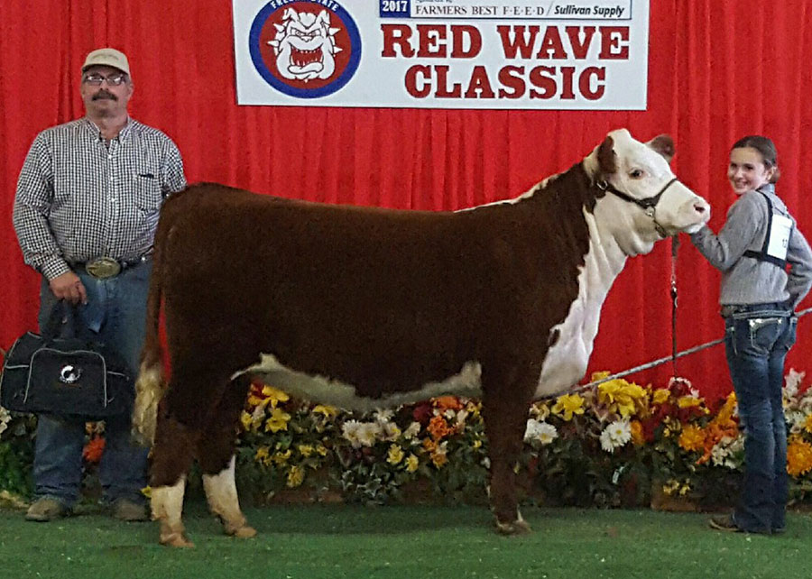 17-res-champion-hereford-red-wave-classic-katilin-dores