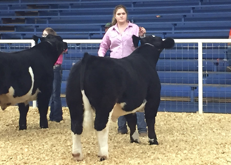 17-reserve-breed-champion-double-trouble-katelyn-james